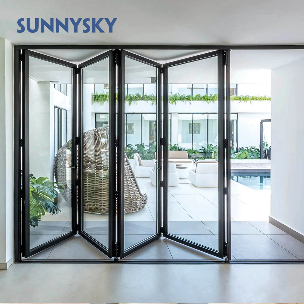 Double glazed exterior black accordion bifold door