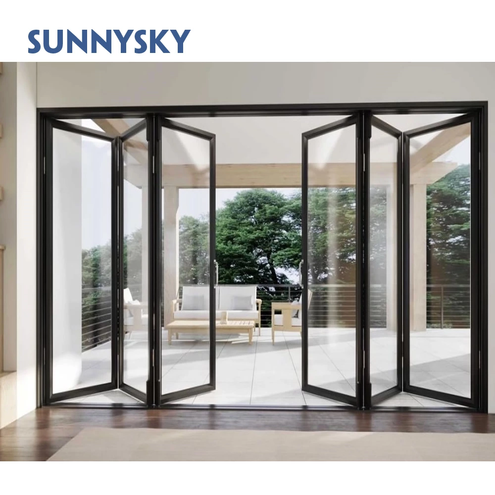 Custom Steel Door Modern Folding Door Iron Folding Door